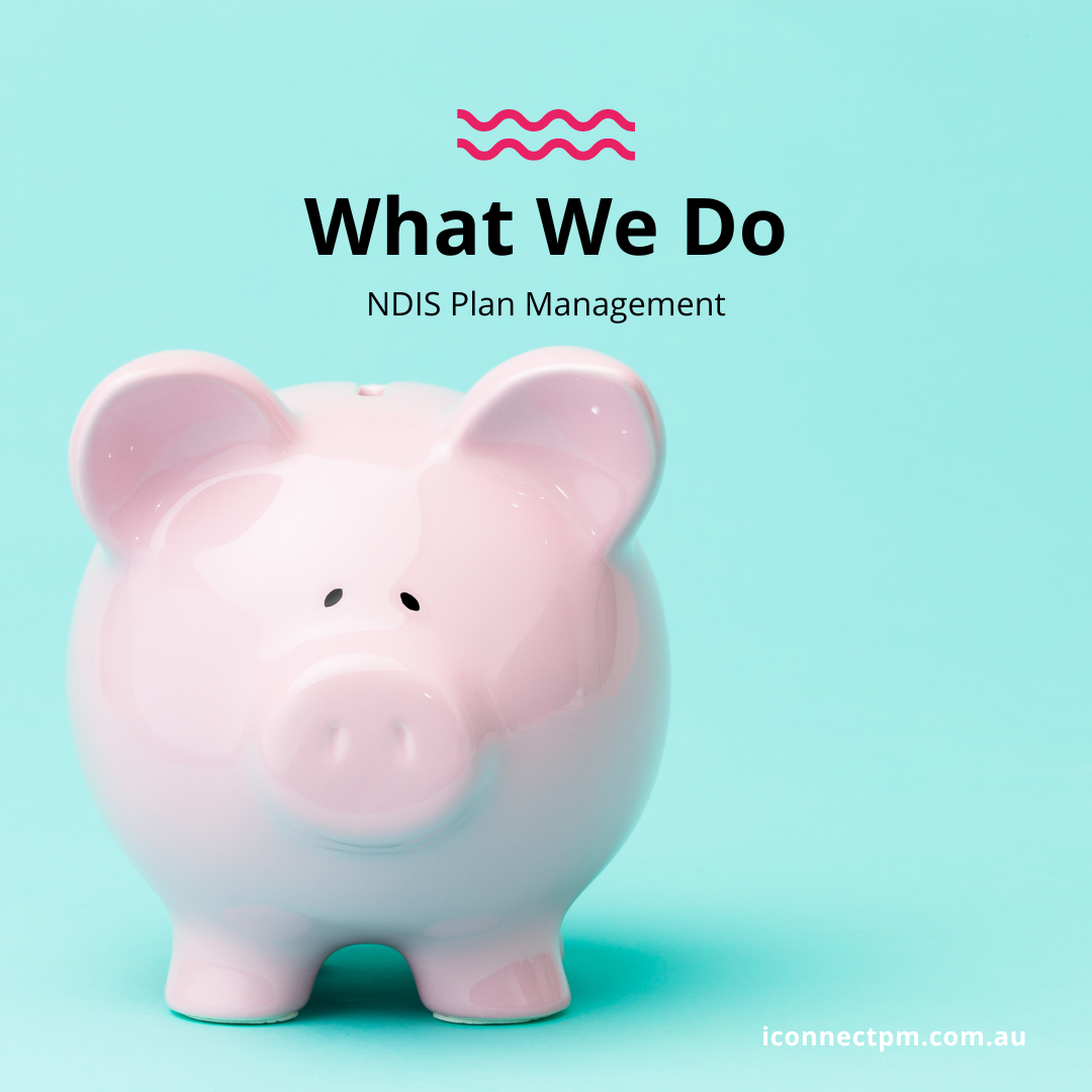 What we do: NDIS plan management by iConnect